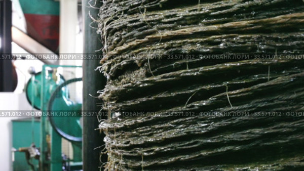 Closeup of stack of fiber mats with grinded olive paste during pressing of olive oil on artisanal factory. Стоковое видео, видеограф Яков Филимонов / Фотобанк Лори