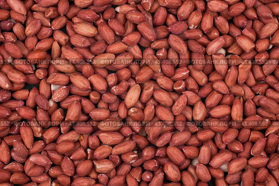 Closeup on peanuts. Стоковое фото, фотограф Александр Собко / Фотобанк Лори
