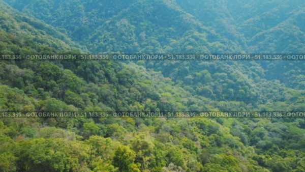 Cloud forest valley with misty green slopes and ridges in lush evergreen Costa Rica. Стоковое видео, видеограф Ольга Сухарева / Фотобанк Лори