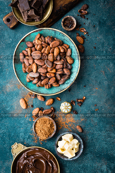 Cocoa. Cocoa beans, dark bitter chocolate chunks, cacao butter and cocoa powder. Cocoa  background. Стоковое фото, агентство Ingram Publishing / Фотобанк Лори