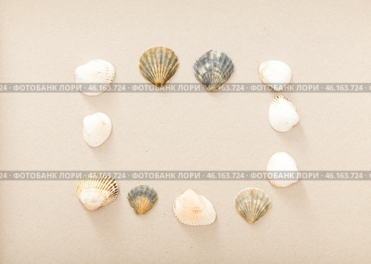 Collection of seashells arranged in a circular pattern on beige background setting a tranquil marine atmosphere. Стоковое фото, фотограф Сергей Толмачёв / Фотобанк Лори