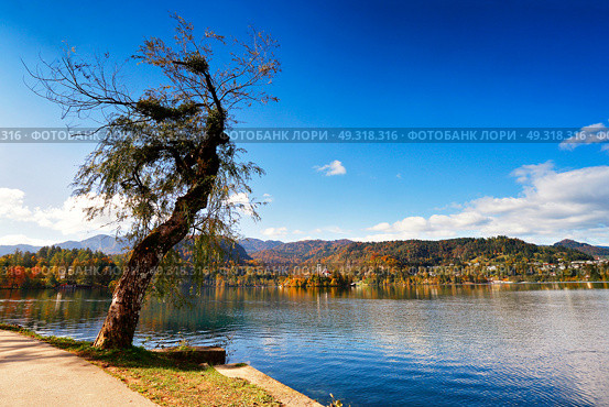 Colorful autumn day on Bled lake, Slovenia. Amazing View On Bled Lake With Mountain Range. Slovenia, Europe. Стоковое фото, агентство Ingram Publishing / Фотобанк Лори