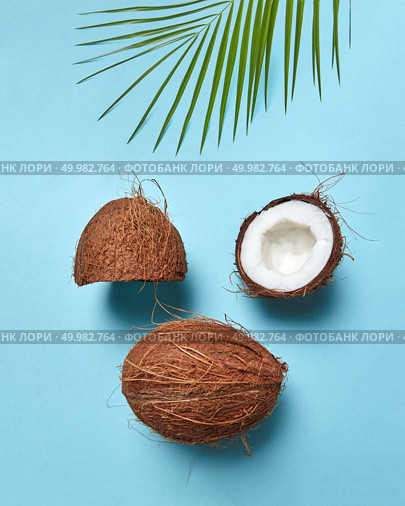 Composition from coconut and palm leaf in the form of a face with a closed eye on a blue background with copy space. Flat lay. Halves and whole tropical nut with palm leaf in the form of a face with a closed eye on a blue background with space for text. Flat lay. Стоковое фото, агентство Ingram Publishing / Фотобанк Лори