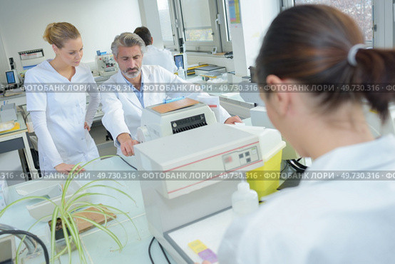 concept of the laboratory interns. Стоковое фото, агентство Ingram Publishing / Фотобанк Лори