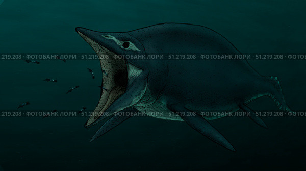 Concept of the suction feeding Shastasaurus eating celphalopods. Vitor Silva/Stocktrek Images/TASS. Стоковое фото, агентство ТАСС / Фотобанк Лори