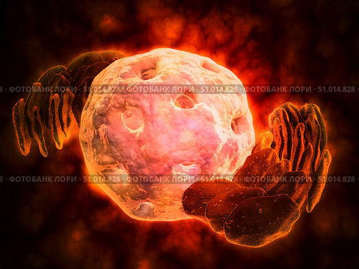 Conceptual image of endoplasmic reticulum around a cell nucleus. Стоковое фото, фотограф Stocktrek Images, Inc. / ТАСС / Фотобанк Лори