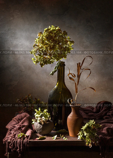 Contemporary still life with dry hydrangea in a bottle and brown stole on a dark background. Стоковое фото, фотограф Ирина Толокновская / Фотобанк Лори