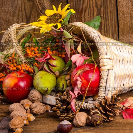 Cornucopia. Стоковое фото, агентство Ingram Publishing / Фотобанк Лори