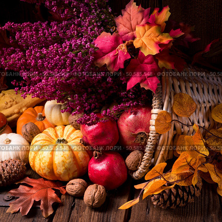 Cornucopia. Стоковое фото, агентство Ingram Publishing / Фотобанк Лори
