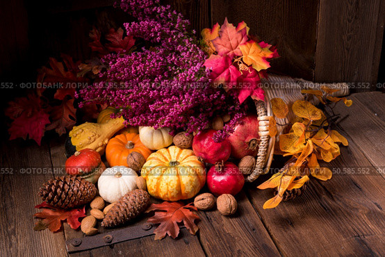 Cornucopia. Стоковое фото, агентство Ingram Publishing / Фотобанк Лори