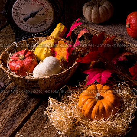 Cornucopia. Стоковое фото, агентство Ingram Publishing / Фотобанк Лори