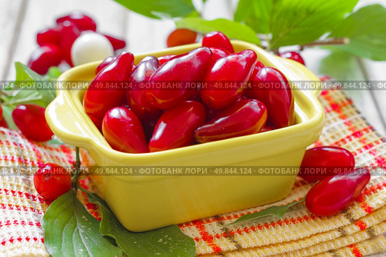 Cornus. Стоковое фото, агентство Ingram Publishing / Фотобанк Лори