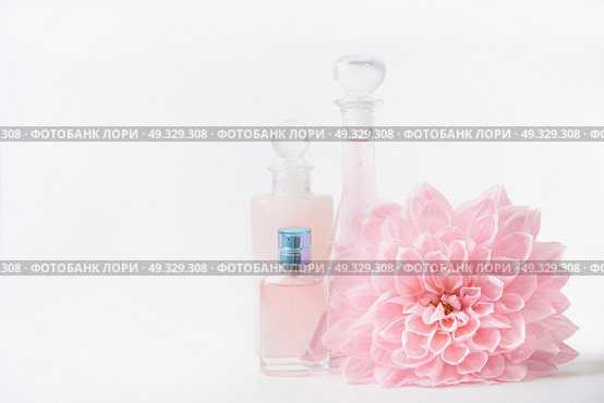 Cosmetic and perfume bottles with pink pale flower on white background, front view. Beauty and skin care concept. Стоковое фото, агентство Ingram Publishing / Фотобанк Лори
