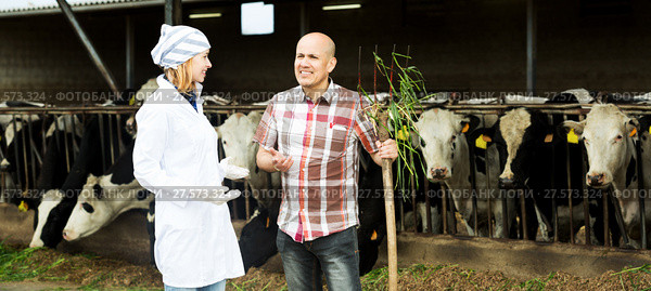 Couple of vets working with milky cows. Стоковое фото, фотограф Яков Филимонов / Фотобанк Лори