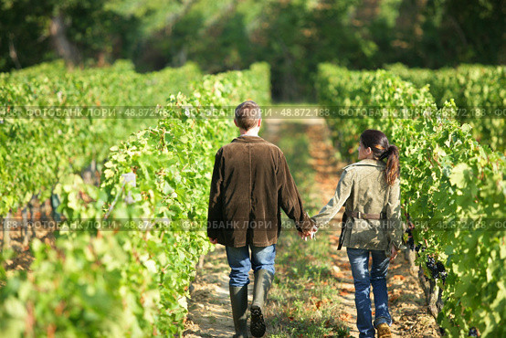 Couple walking in between rows of vines. Стоковое фото, агентство Ingram Publishing / Фотобанк Лори