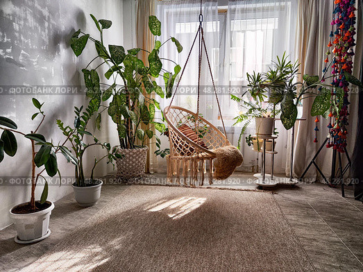 Cozy indoor space featuring a macrame hammock surrounded by lush greenery and natural light during the day. Стоковое фото, фотограф Кривошеина Елена Леонидовна / Фотобанк Лори