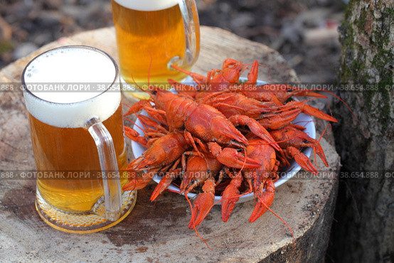 Crayfish with beer on a wooden table. Стоковое фото, фотограф Марина Володько / Фотобанк Лори