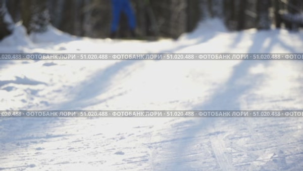Cross-country skiers on the ski track in the park. Стоковое видео, видеограф Igor Skripachev / Фотобанк Лори