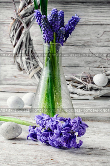 Cut branches of hyacinths in glass flask.Photography in a light tone. Still life with hyacinths. Стоковое фото, агентство Ingram Publishing / Фотобанк Лори