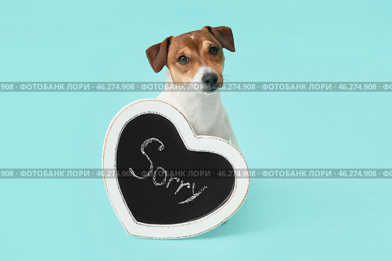 Cute dog and chalkboard with word SORRY on color background. Стоковое фото, фотограф Pixel_shot / Фотобанк Лори
