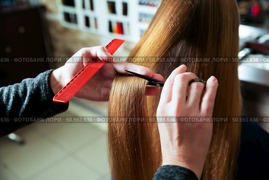Cutting of hair with scissors and comb in hairdressing salon. Стоковое фото, агентство Ingram Publishing / Фотобанк Лори