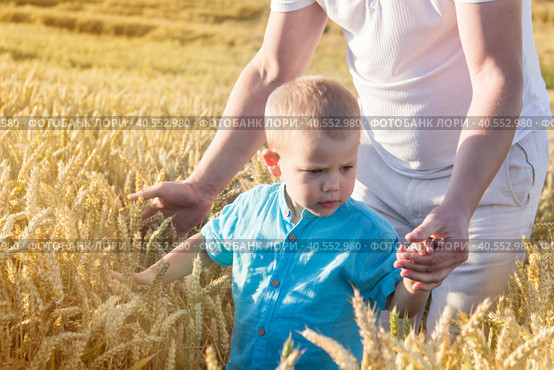 Dad and his little son are having fun walking in a field with ripe wheat. Grain for making bread. the concept of economic crisis and hunger. Стоковое фото, фотограф ALLA YURTAYEVA / Фотобанк Лори