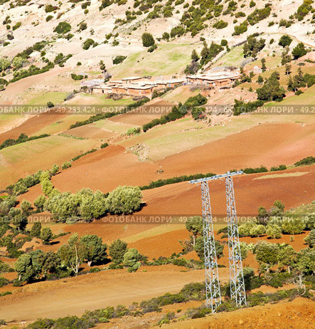 dades valley in atlas moroco africa ground tree  and nobody. Стоковое фото, агентство Ingram Publishing / Фотобанк Лори