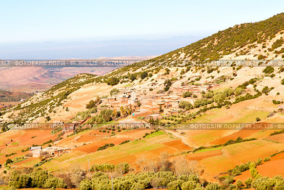 dades valley in atlas moroco africa ground tree  and nobody. Стоковое фото, агентство Ingram Publishing / Фотобанк Лори