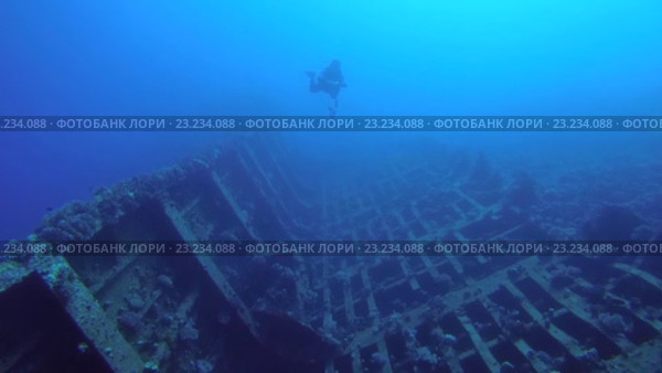 Дайвер плавает у затонувшего корабля в Красном море. Стоковое видео, видеограф Некрасов Андрей / Фотобанк Лори
