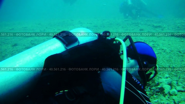 Дайвинг в Красном море. Морская черепаха и дайвер. Стоковое видео, видеограф Галина / Фотобанк Лори