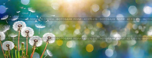 Dandelion seeds take flight in a dance with the breeze at dawn's first light. The whimsy of nature's dispersal method shines in the sunlight's caress. Стоковое AI-изображение, AI-художник Igor Tichonow / Фотобанк Лори