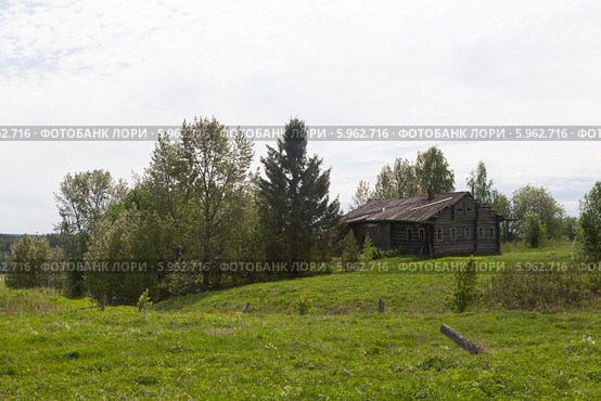 Деревенский пейзаж с заброшенным домом (2014 год). Стоковое фото, фотограф Николай Мухорин / Фотобанк Лори