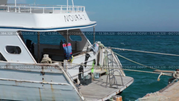 Дети прыгают в воду с морской пристани для круизных кораблей. Красное море, Хургада, Египет (2015 год). Редакционное видео, видеограф Кекяляйнен Андрей / Фотобанк Лори
