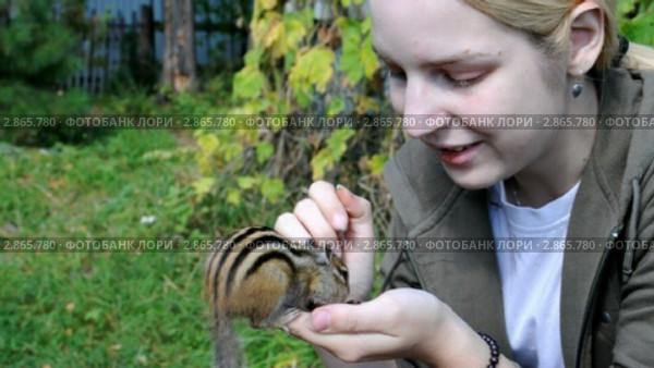 Девушка кормит бурундука (chipmunk) Стоковое видео, видеограф Частоколенко Борис Леонтьевич / Фотобанк Лори