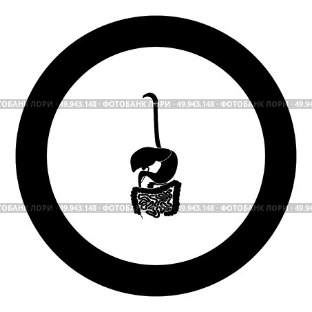 Digestive system icon black color in round circle vector illustration. Стоковая иллюстрация, агентство Ingram Publishing / Фотобанк Лори