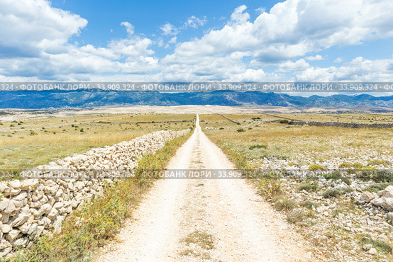 Dirt road leading trough dry rocky Mediterranean coastal lanscape of Pag island, Croatia in summertime. Стоковое фото, фотограф Matej Kastelic / Фотобанк Лори