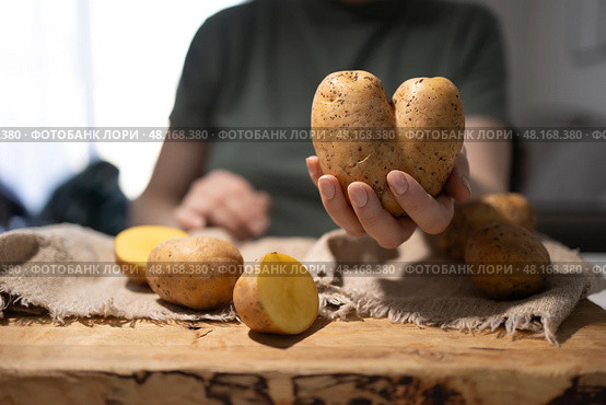 Discovering the World of Unique Potatoes A Captivating Look into Natures Quirks and Wonders. Стоковое фото, фотограф Ольга Коваленко / Фотобанк Лори