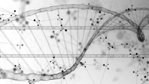 Dna background with gene helix and genome spiral chain on the white copy space. Стоковое видео, видеограф Олег Грач / Фотобанк Лори