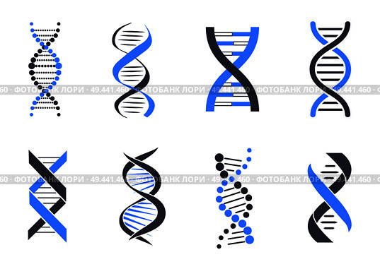 DNA helix patterns colorful vector illustration isolated on white backdrop, blue and black coiled around DNA strands, flexible lines and many circles. DNA Helix Patterns Colorful Vector Illustration. Стоковая иллюстрация, агентство Ingram Publishing / Фотобанк Лори