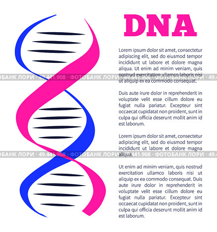 DNA logotype of nucleotides carrying genetic instructions vector, icon of genetic personal code, deoxyribonucleic acid chain symbol with place for text. DNA Logotype of Nucleotides Carrying Genetic Info. Стоковая иллюстрация, агентство Ingram Publishing / Фотобанк Лори