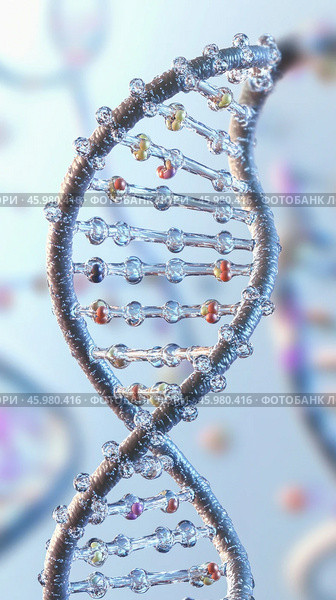 Dna structure rotating showing nucleotides and phosphate backbone. Стоковое AI-изображение, AI-художник Юрий Поздников / Фотобанк Лори