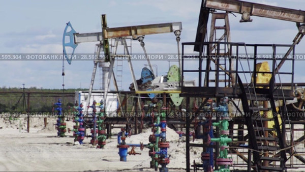 Добыча нефти. Насосная установка. Pumpjack. Стоковое видео, видеограф Евгений Романов / Фотобанк Лори
