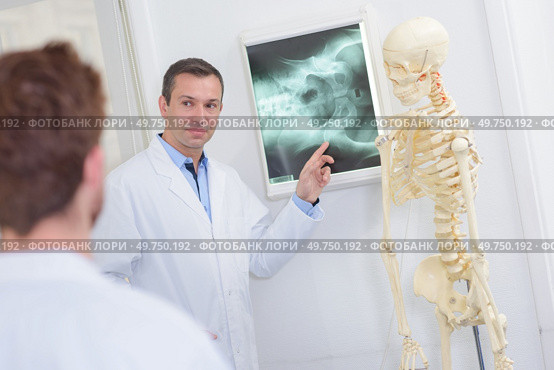 Doctor pointing to xray beside skeleton. Стоковое фото, агентство Ingram Publishing / Фотобанк Лори
