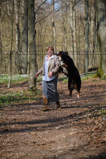 Dog bites woman. Стоковое фото, фотограф Lekcej / Фотобанк Лори