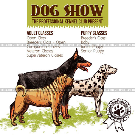 Dogs show with sketch doberman dalmatian and shar-pei profiles vector illustration. Dogs Show Illustration. Стоковая иллюстрация, агентство Ingram Publishing / Фотобанк Лори