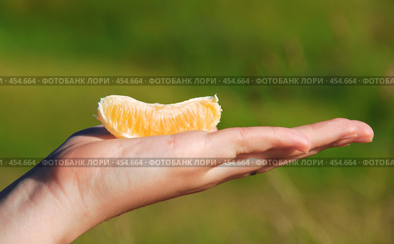 Долька вкуса. Стоковое фото, фотограф Владислав Грачев / Фотобанк Лори