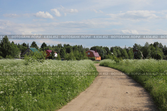 Дорога в деревне. Стоковое фото, фотограф Marina Kovyneva / Фотобанк Лори