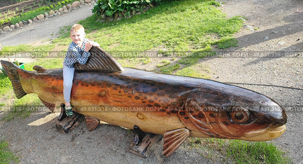 Дошкольник на деревянной рыбе. Алтай. A boy on a wooden fish. Altai. (2024 год). Редакционное фото, фотограф Денис Баданин / Фотобанк Лори