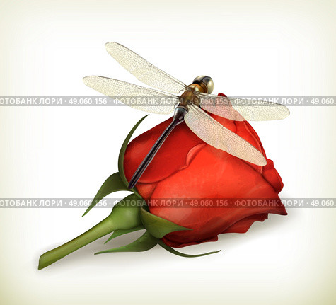 Dragonfly and rose vector. Стоковая иллюстрация, агентство Ingram Publishing / Фотобанк Лори
