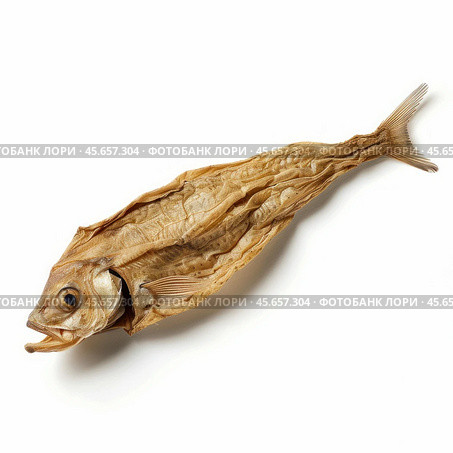 Dried fish isolated on white background representing culinary dehydration. Стоковое AI-изображение, AI-художник Иван Рябоконь / Фотобанк Лори
